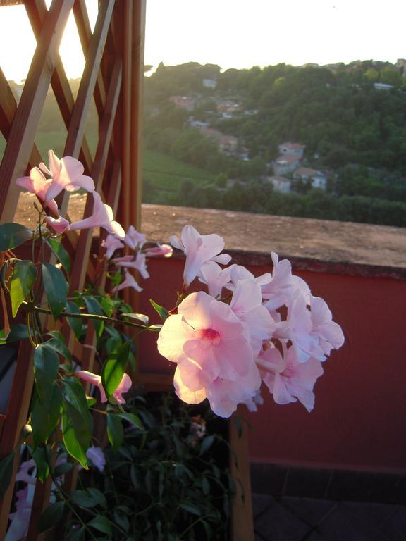 Holiday home Palazzo Primoli Ariccia